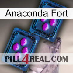 Anaconda Strong 03